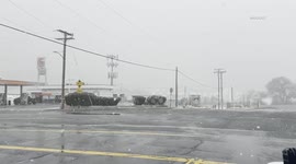 US, Los Angeles: Gorman Day Time Snow