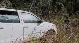 Thai man with broken hip survives eight days stranded in jungle