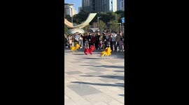 Robot dogs perform lion dance in China's Shenzhen