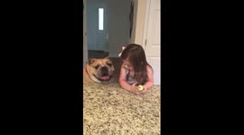 Erin and Harvey - Share a Cupcake