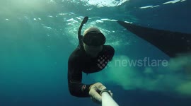 Whale shark relieves itself on diver