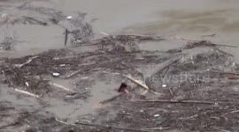 Woman holding a stick flowing in floodwater is rescued after four hours