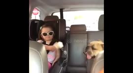 Dog and toddler share an ice cream