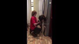 Dog sees owner again after 3 months