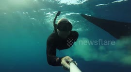Whale Shark shits on a diver