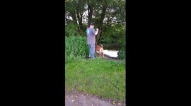 Man cannot control excited dog