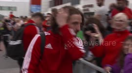 Wales Euro - Joe Allen