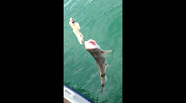 Sea fishing off of Falmouth Bay on a stunning sunny day