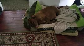 Saturday lazy day
