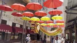 Spring Festival celebrated with parade in Mauritius