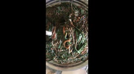 How to cooking nyale