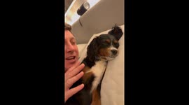 Exclusive- Fendi the Faker: Puppy pulls the ultimate bedtime trick pretending to be dead asleep