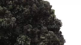 Spain: Storm Herminia causes over 600 incidents in Spain's Galicia