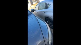 Silly Husband Pops Head Through Ice To Say Goodbye