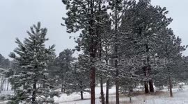 US: Heavy snowfall hits Evergreen