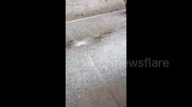 US: Heavy rain and hail hit Hollywood Hills