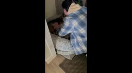 Family Dog Reunited With Human Brother