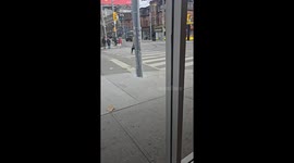 Crosswalk Handstand