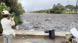 tourist filming and taking picture of River of trash in Waikiki hawaii | after heavy rain the Ala Wai Canal is full of trash. matresses, pillows, emtpy canisters, plastic bags…  not far from there pepppe pay $400 per night to stay at a hotel and lay at be