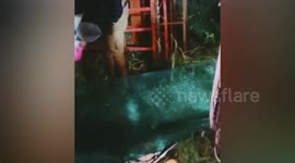 Three girls seriously injured after being thrown from Ferris wheel in Cambodia