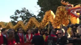 Cultural events held in various countries to welcome Spring Festival