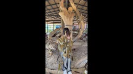 Tourist poses with dozens of monkeys climbing over her