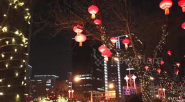 British expat explores Chinese culture ahead of Spring Festival