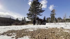 Colorado rangers forced to relocate bear which refused to stop eating and hibernate