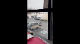 Bird Takes Egg From Truck Bed