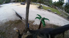 Car Crashes Into Partially Open Gate