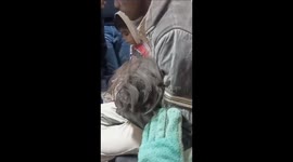 Burari Building collapse – 4 members of a family rescued out safely after 30 hours from rubble 4 storey building collapse