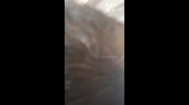 Panicked passengers escape from Boeing 737 as engine catches fire before take-off