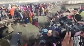 India stampede rescue teams pull survivors to safety