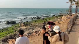 Tourists take selfies on beach covered in algae in Thailand
