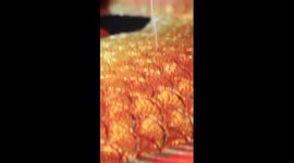 A glimpse of gorgeous Chaozhou embroidery