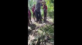 Scout master shows off to cadettes how to cross rope bridge