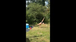 Man's ambitious cartwheel and backflip combo ends in a funny pool flop