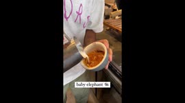 Barista creates brilliant Elephant design on customer's coffee at UK coffee shop