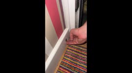 Tipsy dad's struggle to remove slug from house is PURE COMEDY!
