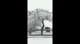 Jiuhua Mountain after snow: a winter fairy tale