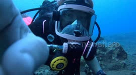 Divers leave GoPro unmanned and capture amazing underwater footage of marine life