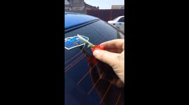 Delightful act of kindness captured as human helps praying mantis quench its thirst