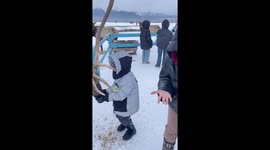 Boy's Jacket Gets Hooked on Reindeer's Antlers