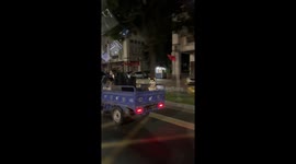 Alaskan Malamutes ride in the back of motorcycle trailer