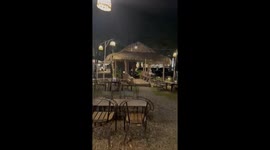 Hungry elephant rummages through restaurant bins for food