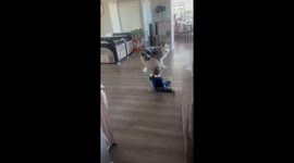 Aussie Wants Baby To Play