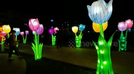 Malaysia: Dazzling colorful lights in conjunction with the 2025 Chinese New Year Festival