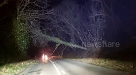 New Years Day storm: Tree blocks crucial road route after it uprooted during a yellow wind warning.