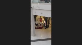 Stranger Helps Man Take an Adorable Photo of His Dog