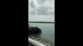 Accidently Recording a Random Woman Slipping Into the Ocean